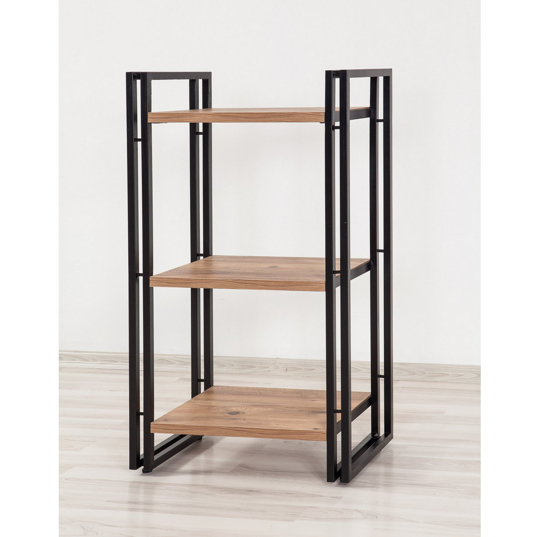 Izaguirre Bookcase