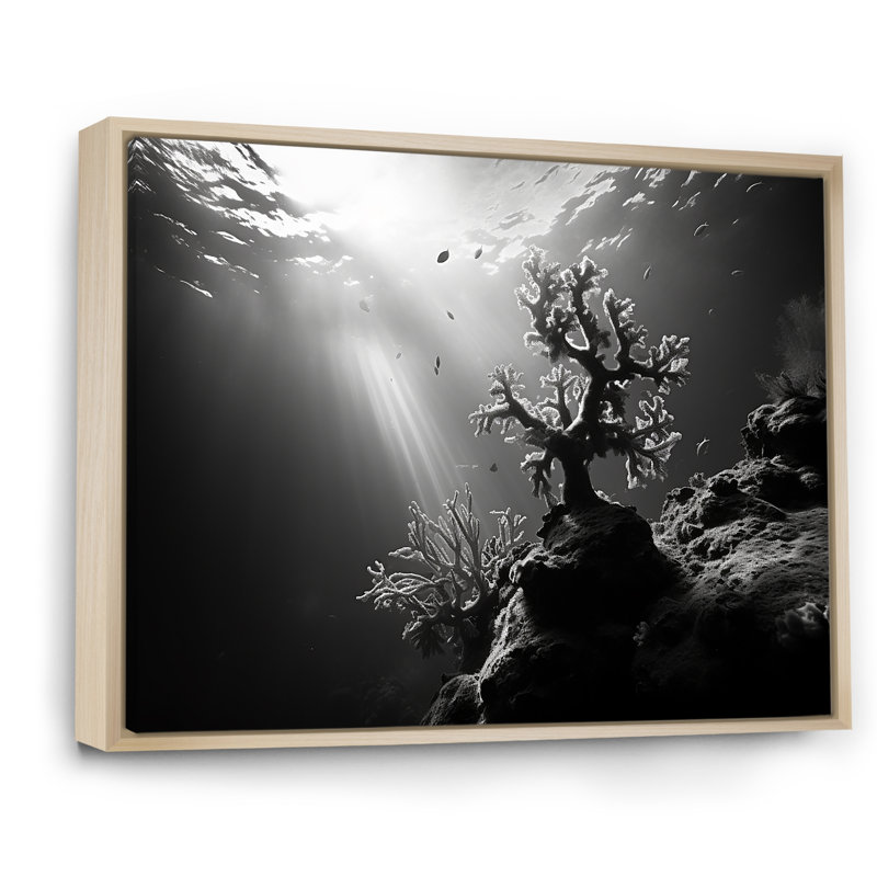 «Black and White Coral Artistic Ocean Ballet», reproduction sur toile, H 24 po x l 32 po, Cadre naturel flottant