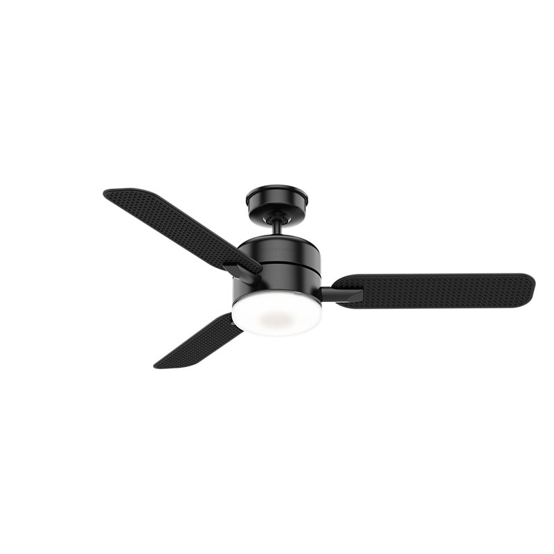 54" Paume 3 - Blade Outdoor LED Standard Ceiling Fan with Wall Control and Light Kit Included, Matte Black