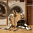 Washable Singapura Cats Area Rug-238089010