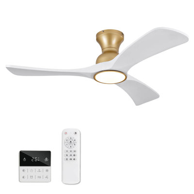 Ceiling fans with lights
