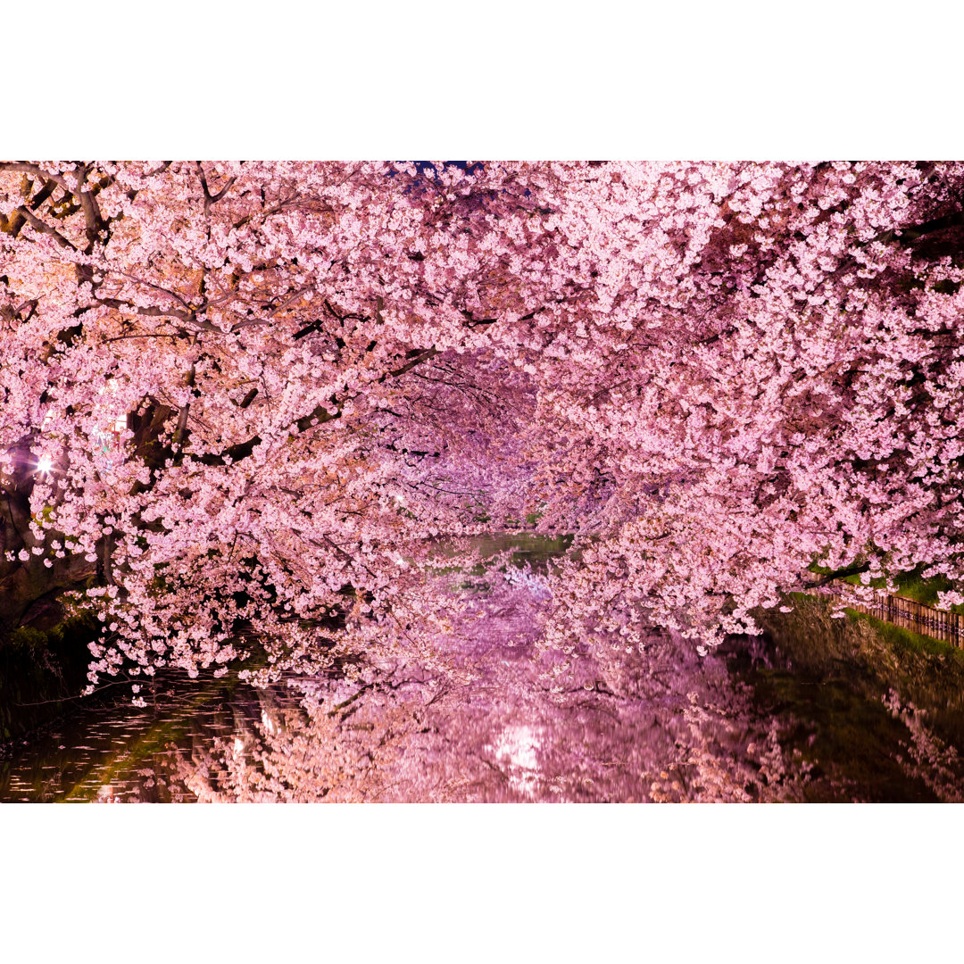 Sakura Trees von Masafarnorth - Kunstdrucke auf Leinwand