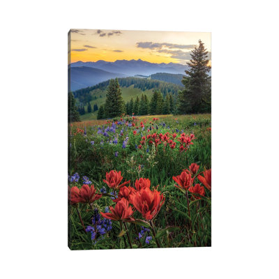 Summer Wildflower Landscape - White River National Forest Colorado Sunset - Wall Art Print - Wrapped Canvas