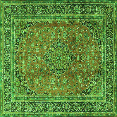 Washable Oriental Indoor Rug