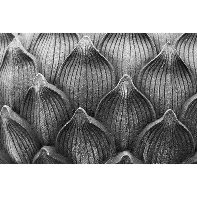 Texture de pierre par Josuozkaritz