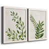 Laurel Foundry Modern Farmhouse Botanical Wash I - 2 Piece Print Set ...