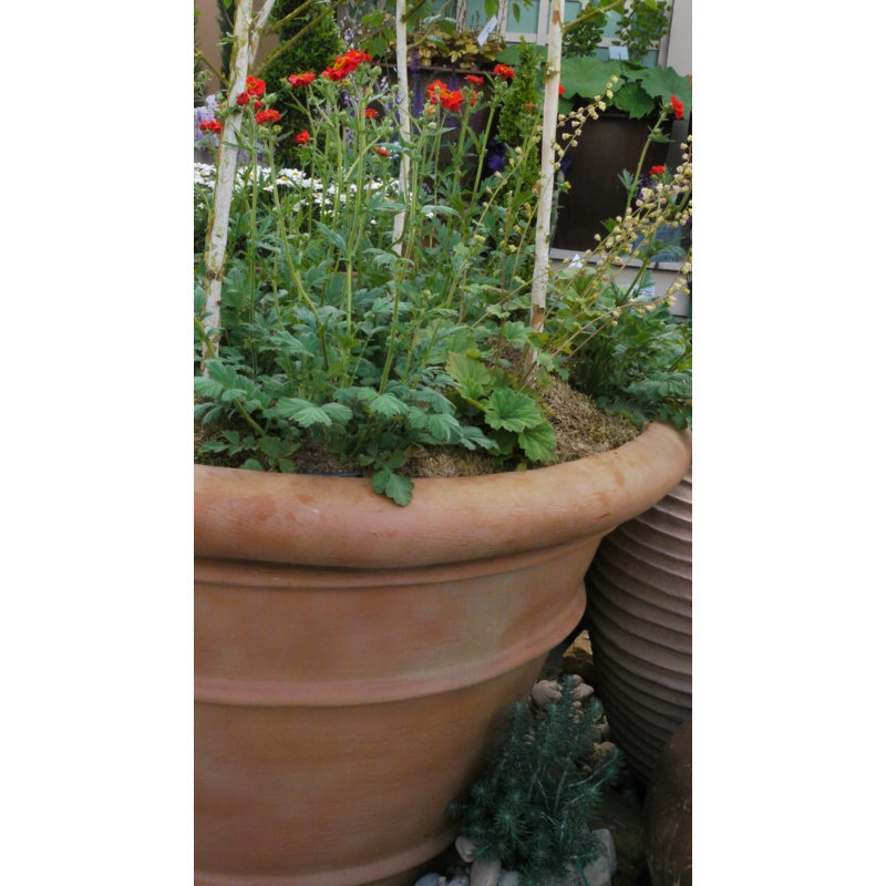 Balhi Fibreglass Planter, 61 cm H x 97 cm W x 97 cm D