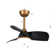 Haywa 28'' Ceiling Fan with LED Lights