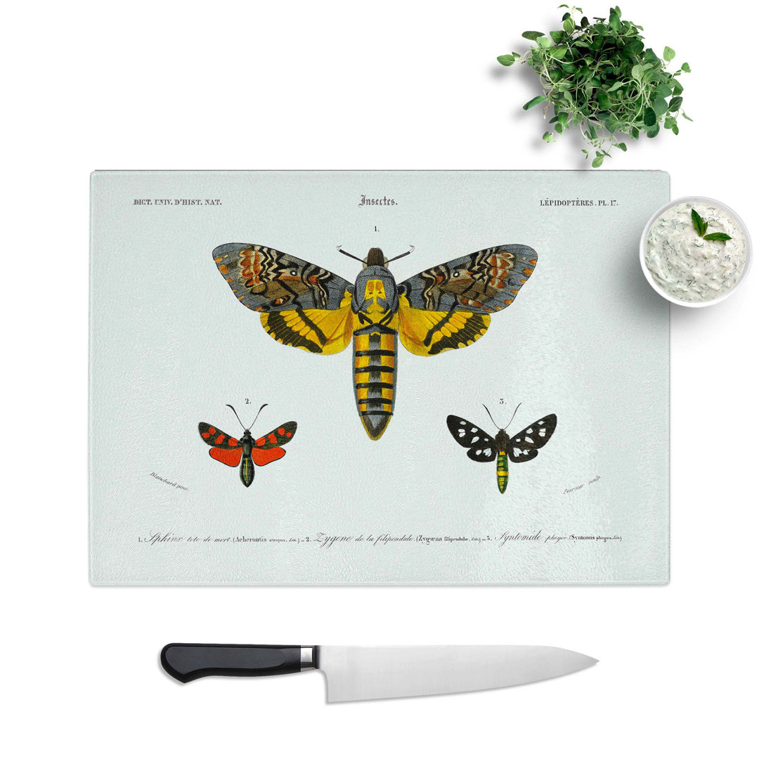 Glass Moth Illustrations Pl. 17 by Charles D' Orbigny Chopping Board