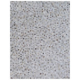 Mosaic Leather Cowhide Geometric Area Rug in Silver