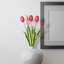 Tige de tulipe douce au toucher-580766160