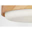Richard June Transitional Aurelle Flush Mount Light-961378286