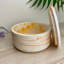 Storage Pot-1399912509