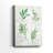 Fresh Herbs II -Gallery Wrapped Cavas
