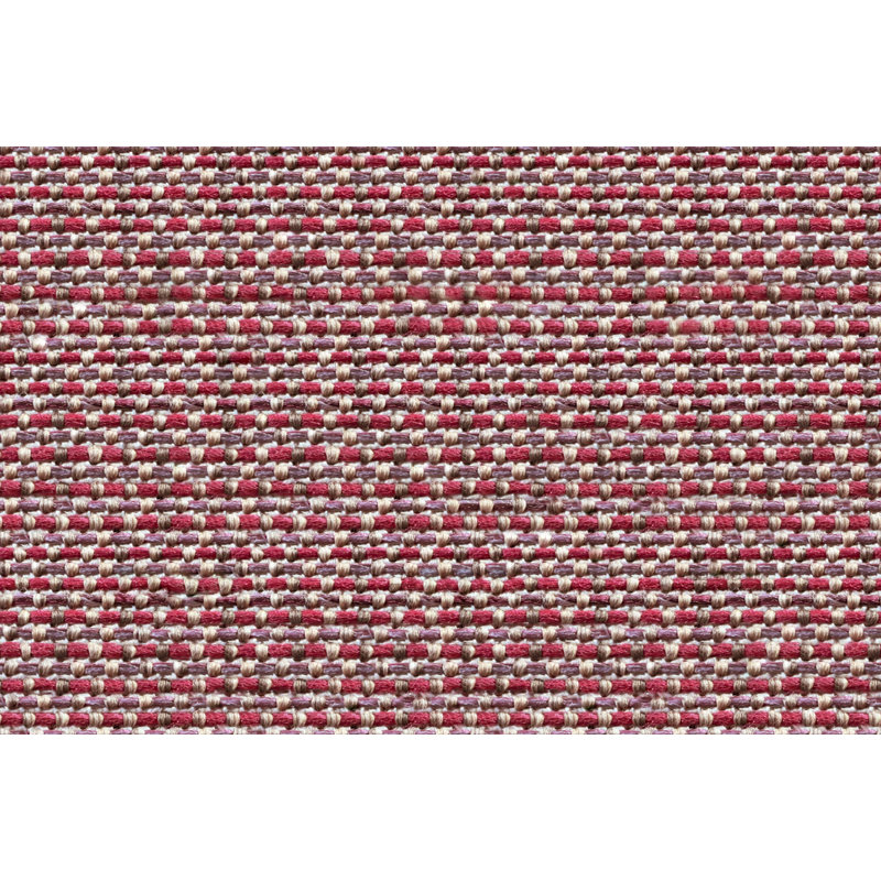 Dotty Medium, Rasberry