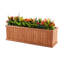 Barros Solid Cedar Rectangular Planter Box with Drainage Holes-685945626-691030465