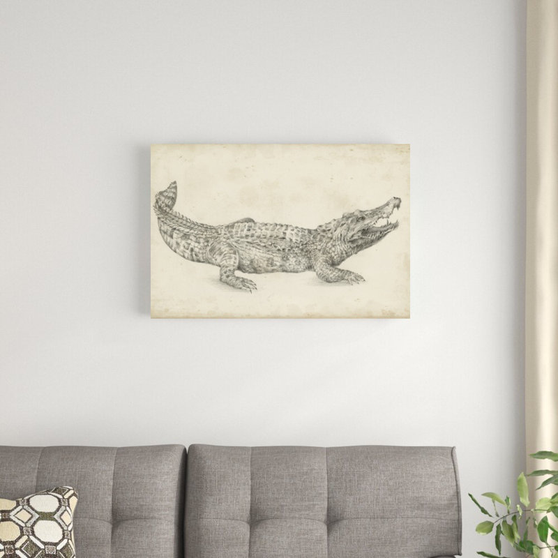 Croquis de crocodile par Ethan Harper - reproduction de dessin sur toile tendue, H 20 po x l 30 po