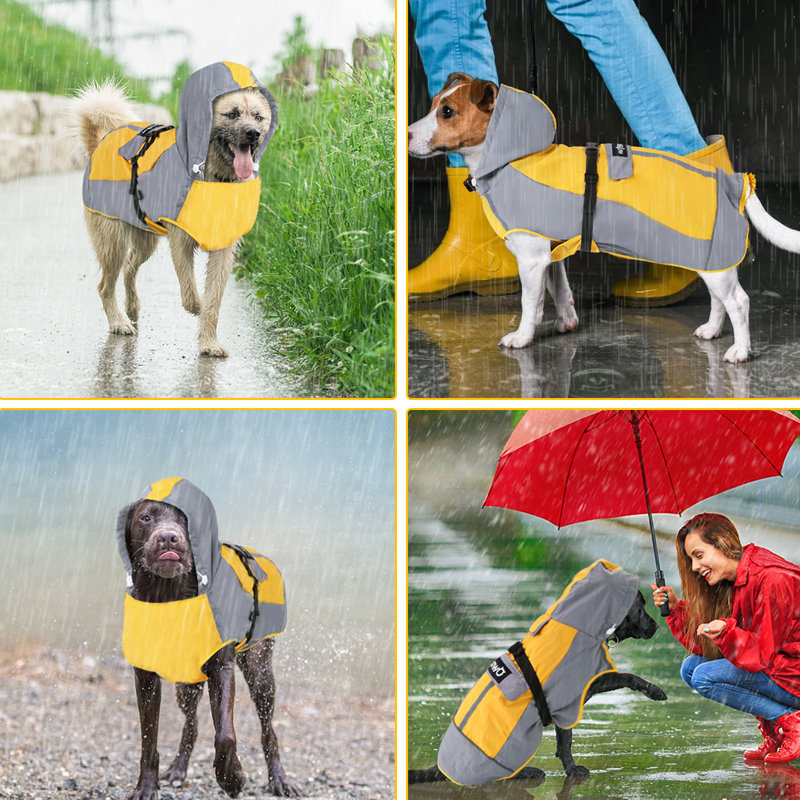 Taille de L pliable pour chien, Moyen (H 1 po x l 8 po x P 34,5 po)