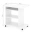 Rawald Computer Desk-2082366161
