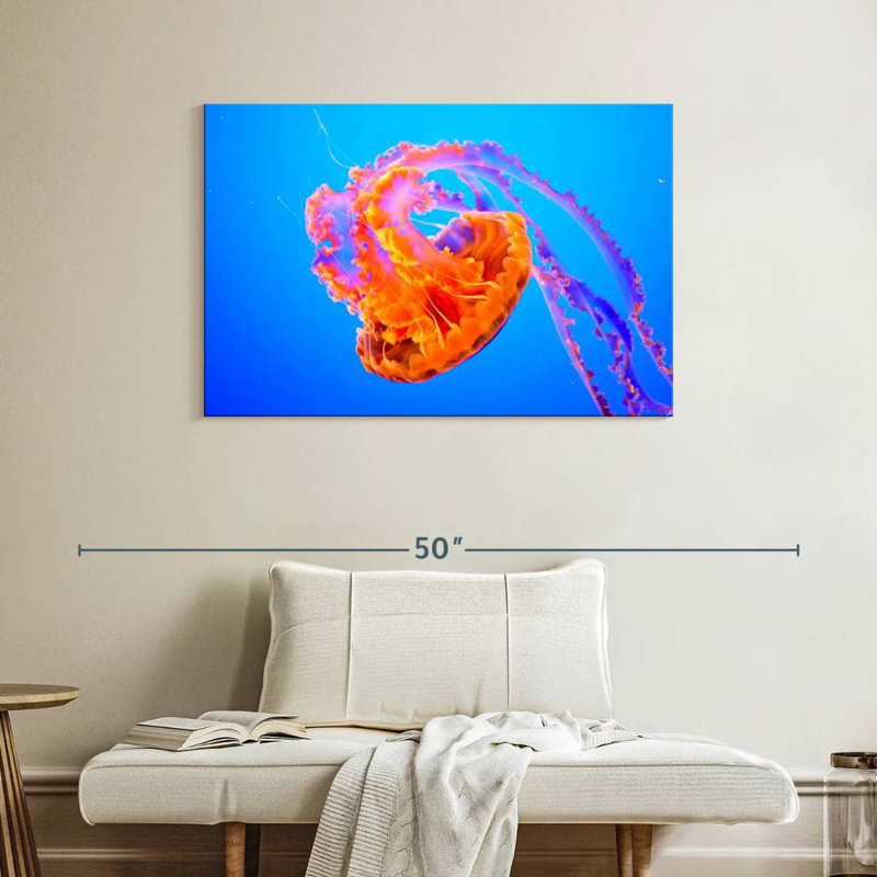 Somersault Brampt Jellyfish, H 26 po x l 39 po