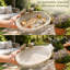 Bain d'oiseaux pour l'extérieur, jardin en résine