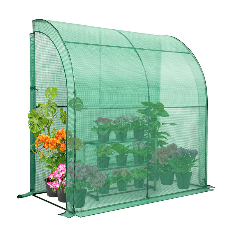 39.4" W x 78.7" D Lean-To Greenhouse, Green