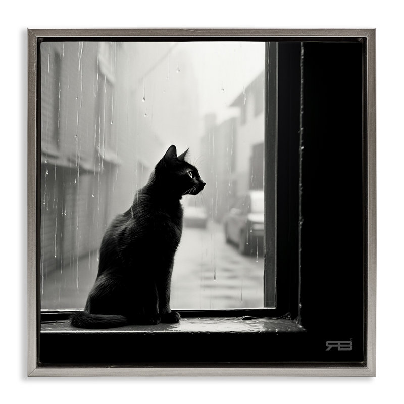 «Cat Gazing Rainy Window» par Roozbeh Bahramali, Cadre flottant gris lustré, H 25 po x l 25 po
