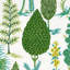Pandora Embroidery Fabric