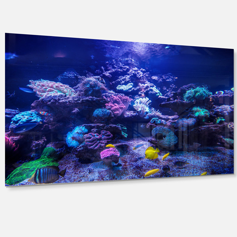 Aquarium récif, réservoir - reproduction de photo, Métal métal, H 34 po x l 44 po x P 1,5 po