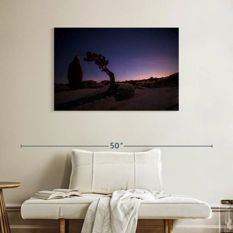 Nicci Joshua Tree, paysage nocturne, H 26 po x l 39 po