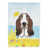 Basset hound