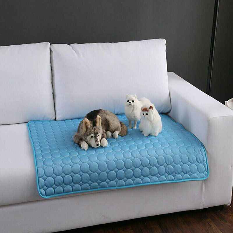 Leticia Suede Pet Bed, 35cm W x 26cm D