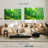 Alvord Green Bamboo Pathway-107952013