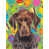 german shorthaired pointer selected