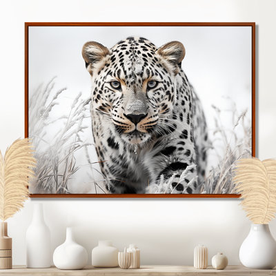 Jungle Leopard Stalk I - Leopard