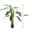 158.5cm Artificial Banana Leaf Tree in Pot