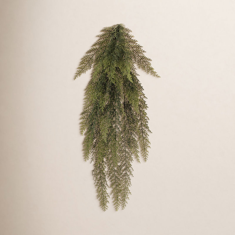 Variegated Pine Vine 31"L