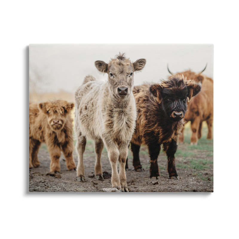 «Baby Calves On Farm On Canvas» par Dakota Diener, reproduction, H 24 po x l 30 po x P 1,5 po