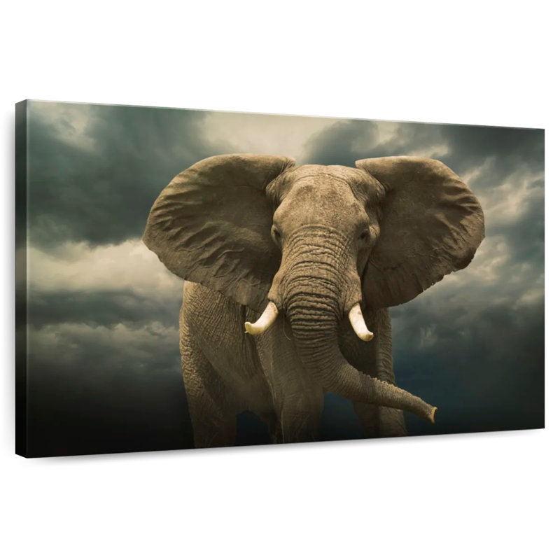 Brampt Male Elephant, 20" H x 30" W