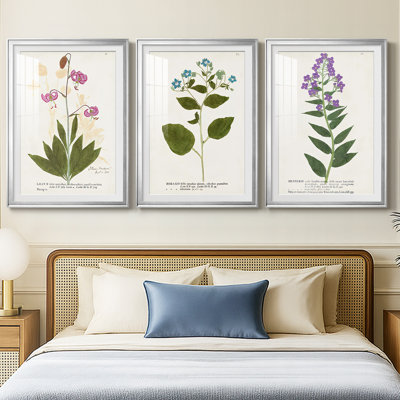 Nature Printed Botanicals V  -Custom Framed  Premium Print W Matt - 3 Pieces
