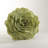 Felt Collection Appliqued Throw Pillow-675838094-699231411