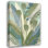 Art sur toile tendue Astoria Grand Kouta, Flora Gallery: Tropical Botanical III