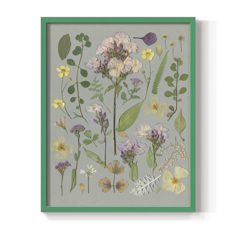 Organic Study I Framed Print - Solid Wood, 21" H x 17" W, Green