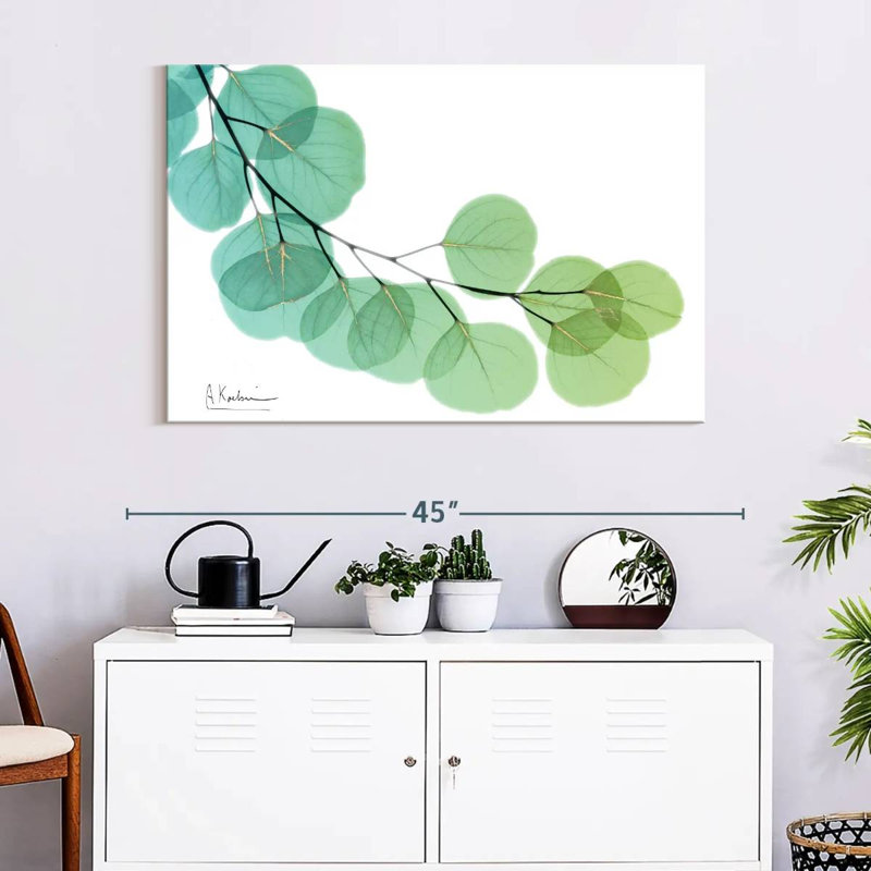Harnek Golden Eucalyptus, 16" H x 24" W