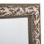 Drennen Flat Plastic Framed Full Length Mirror in Gold