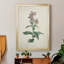 Toile encadrée de qualité supérieure Traditional Botanical II - prête à être accrochée-1499685930-1499685934