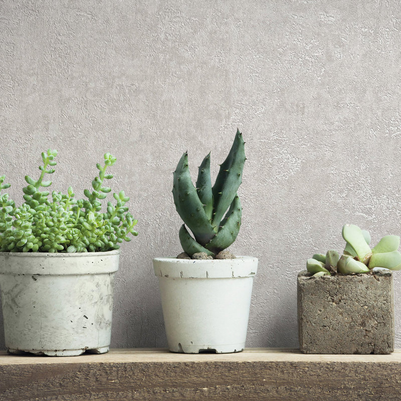 Kumano Textured Plaster Wallpaper Roll, Cream