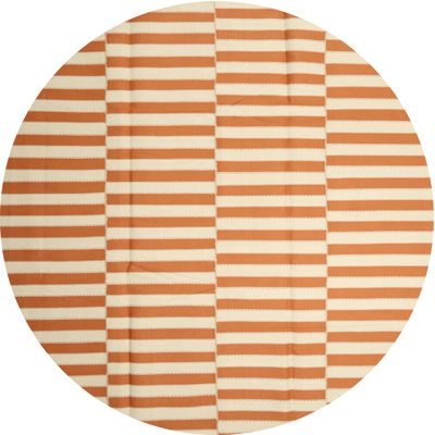 Striped Indoor Rug