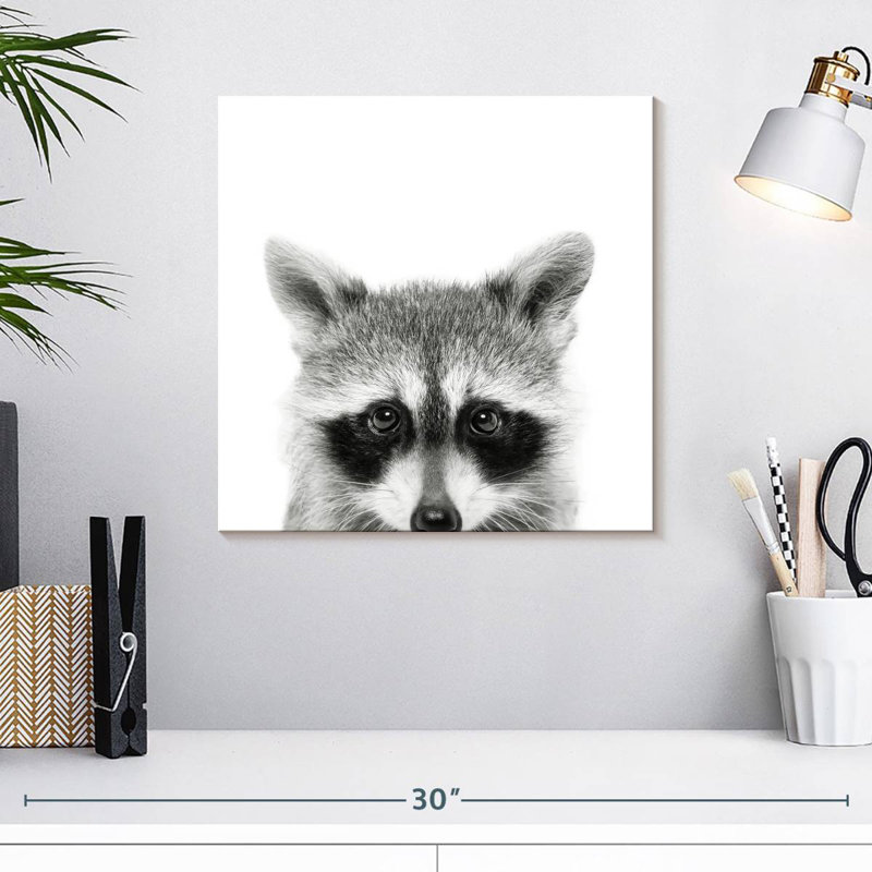 Brampt Peeking Raccoon, 16" H x 16" W