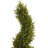 Rosemary Spiral Artificial Tree-16395561